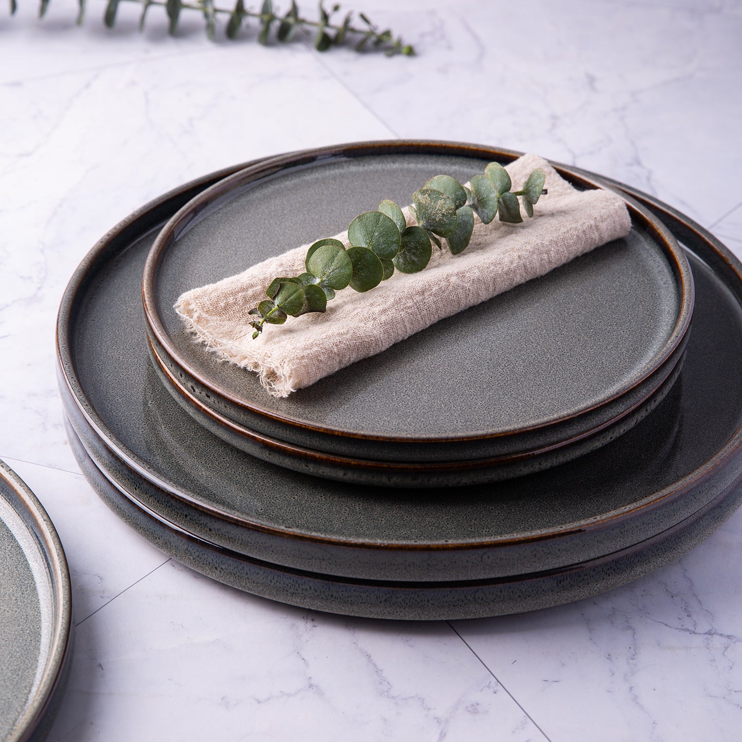 GBHOME Stoneware Plates Set of 4, 10.0 Inch Dinner Plates